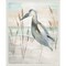 Heron by Beach Grass II by Elizabeth Medley Framed Canvas Wall Art